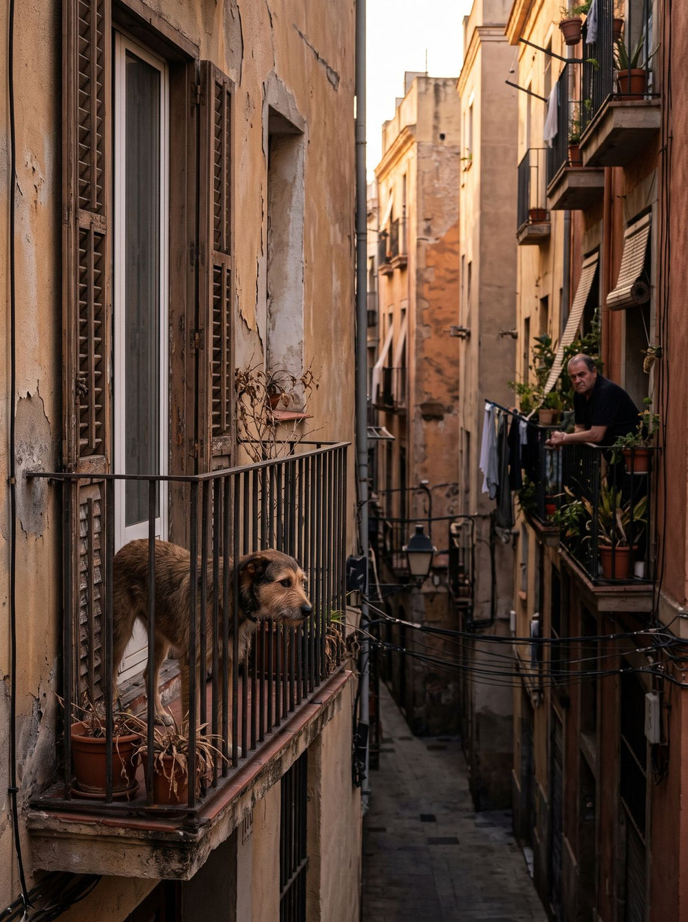Perro ladrando en un balcón de un bloque de pisos